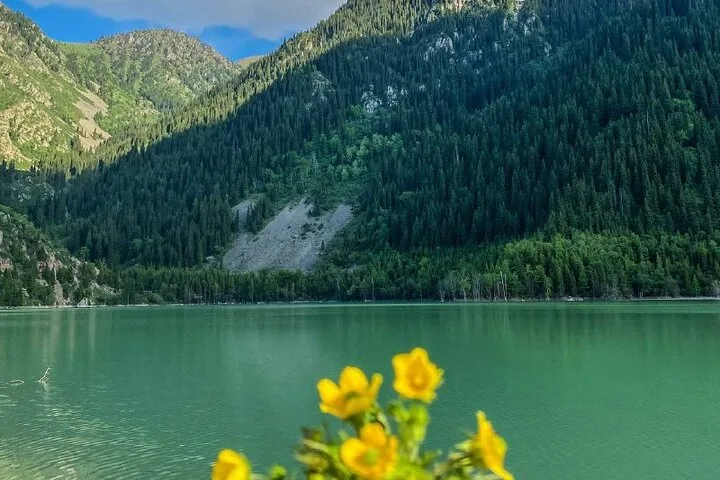 Gelbe Blumen im Vordergrund, dahinter der Issyk-See und Berge.